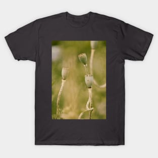 Garden Poetry T-Shirt